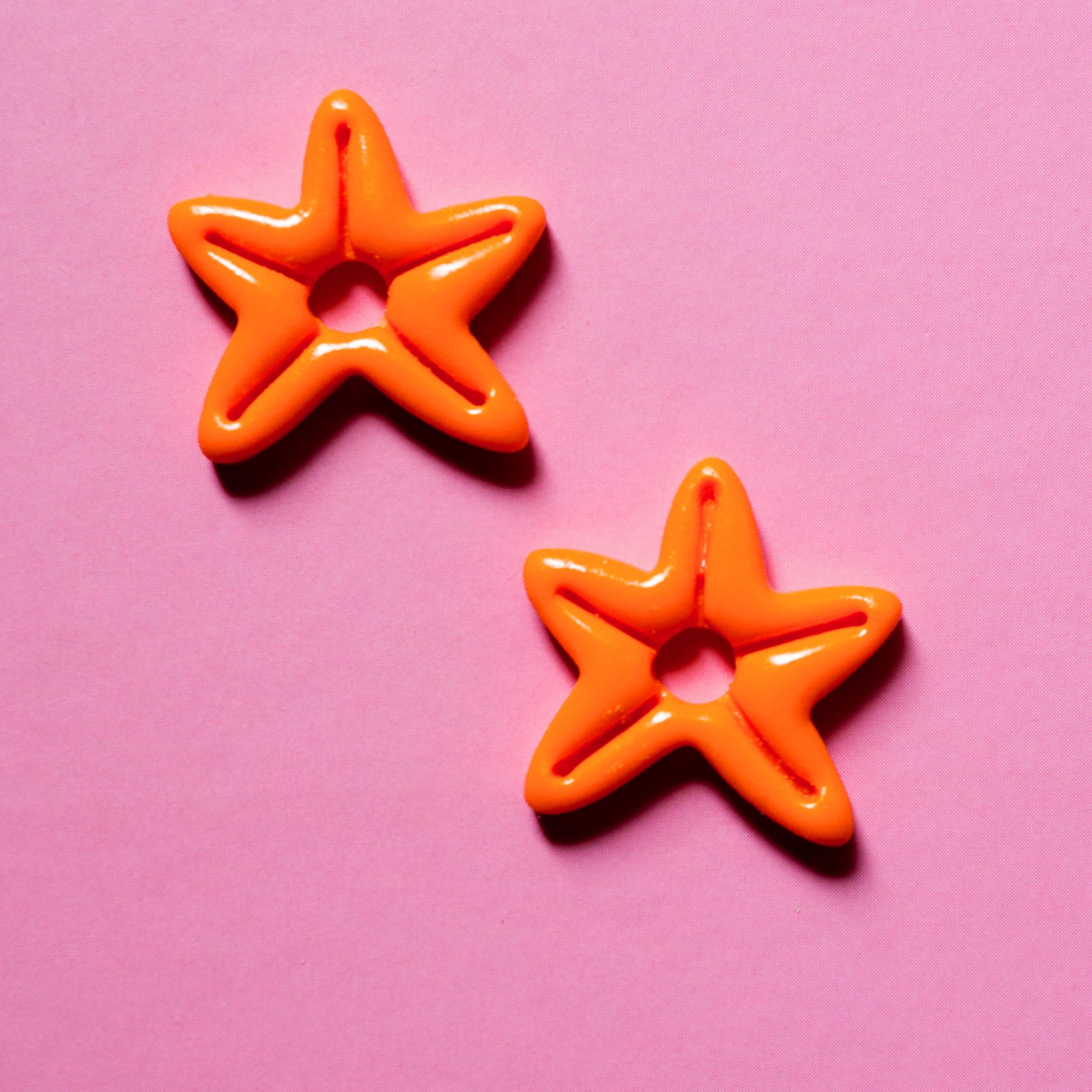 Boucles Etoile de Mer – Image 7